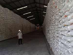 Indonesia Ramps Up Grain Production to Improve Food Security