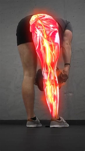 Recover Pain | Chronic Back Pain & Sciatica on Instagram: "⚡ Chronic Sciatica?? Do This ❌ Treating chronic sciatica, requires a different approach. Here’s how to fix the root of your pain to recover from sciatica for good: 1️⃣ Nerve Flossing This can help desensitize your nerve to help you return to movement. 2️⃣ Back Extension The back extension will help strengthen your lower back to fix the root of your sciatica. 3️⃣ Elephant Walks These can help slowly reintroduce your nerve to movement to h