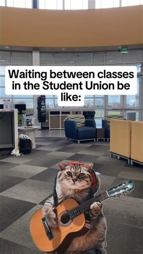 Student Union Activities