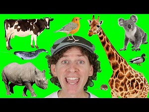 A to Z Alphabet Animals Chant Part 2 with Matt | Learn Animals Names | Alphabet for Kids - Videos For Kids