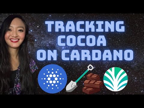 How Cardano's Palm Economy is Bringing Traceability to the Cocoa Industry