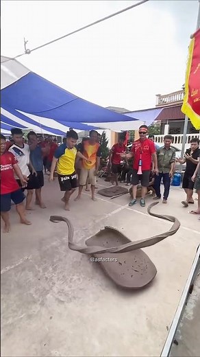 The Most Popular GAME In Vietnam !😱