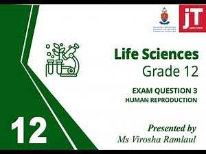 8. Gr 12 - Life Sciences - Human Reproduction - Exam Question 3