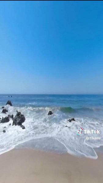 Experience the Groove of Tropical Beach Vibes