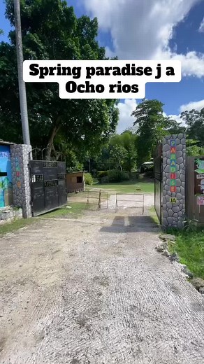 Explore Spring Paradise in Ocho Rios, Jamaica