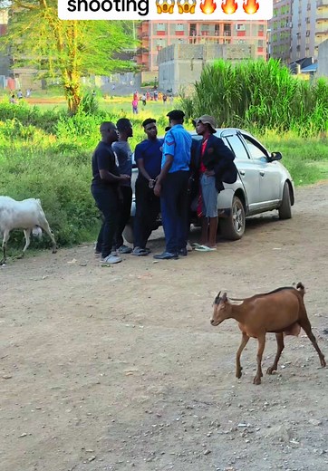 Comedy Video: Hilarious Arrest Encounter