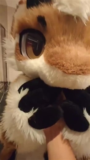 furry ❤️❤️❤️❤️ #cute #fursuit #furrytiktok #furry #fyp
