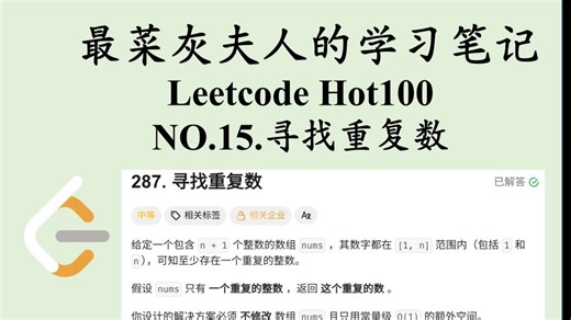 Leetcode Hot100-NO.287 寻找重复数 | 最菜灰夫人的学习笔记