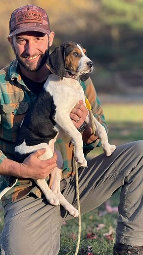 I went to Maine to hunt with some great treeing walker hounds and look what I came home with! Thanks to @bearhoundsoutfitters I have added another player to my bobcat hunting pack. #houndhunting #bobcatnation #bobcat #treeingwalker | Steve Kurian