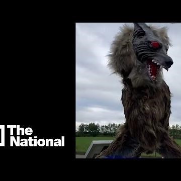 'Monster Wolf' robots help Japanese town fight back the wild bears