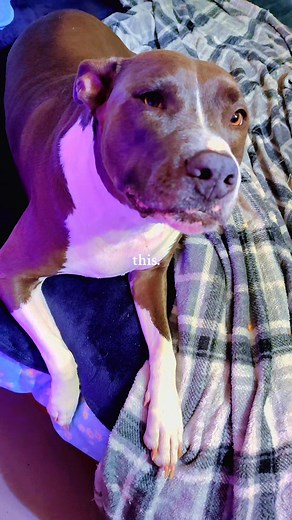 Stephanie Cole on Reels