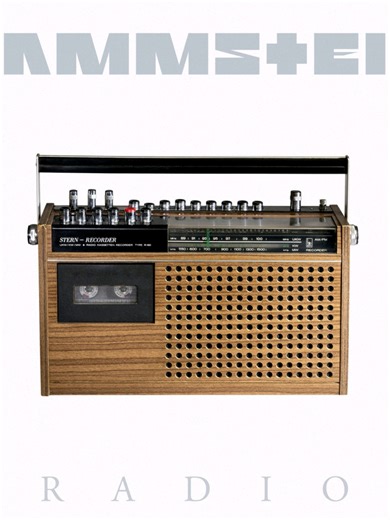 Exploring Rammstein's 'Radio': A Guitarist's Perspective