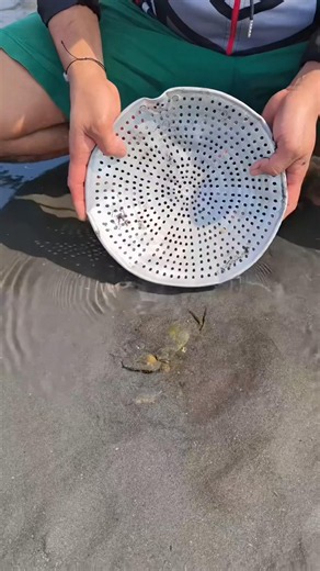 Unbelievable giant crab discovery! Would you catch this? 🦀🔥 #nature #crab #shorts