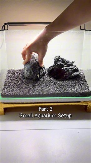 Part 3! Hardscapes! 🗿🪵🪾 Once you're done shopping for stones or woods, make sure that it is all cleaned thoroughly and free of any dirt or insects. Place the stones in anyway your heart desires. 🫶🏻 Placing odd number of stones looks more natural than even number. This rule applies to anything! (Even decorating pastries!) When you’re satisfied with your layout, take a step back and picture your final tank. You can keep it simple with just stones, or add wood like me. 😉 Follow for Part 4 whe