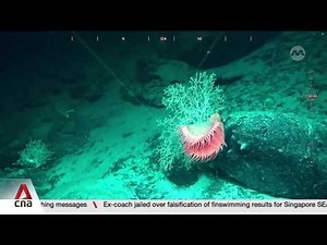 Monsoon Rise Expedition: Exclusive look into early findings from deep sea exploration