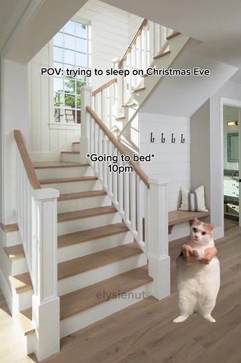 Merry Christmas Eve Cat Meme: Funny TikTok Compilation