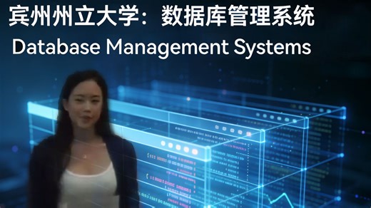 宾州州立大学：数据库管理系统 | Database Management Systems