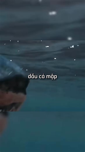 cô gái và con cá mập khổng lồ | Ong Thật Liều Review