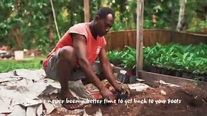 4.5K views · 146 reactions | Visit Solomon Islands on Reels | Facebook