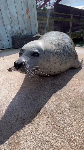 Explore the Beauty of Deep Sea World in Edinburgh