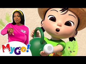 Gardening Song   MORE! | MyGo! Sign Language For Kids | CoComelon - Nursery Rhymes | ASL - Videos For Kids