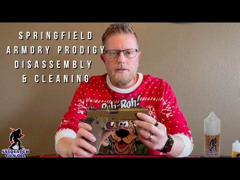 Springfield Armory Prodigy Disassembly & Cleaning