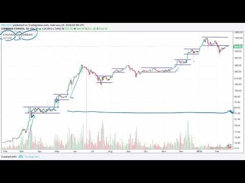 Examples of Fibonnacci Ratio Charts and Conclusion