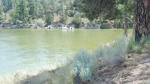 Officials warn of harmful algal blooms at Canyon Ferry Lake