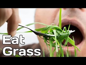 Humans Eat Grass