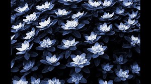 The Rolling Stones - Sing This All Together