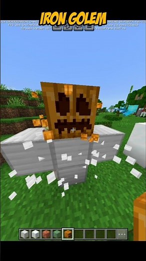 4 DIFFERENT TYPES OF GOLEM #minecraft #update #shortvideo #gaming #short #shorts