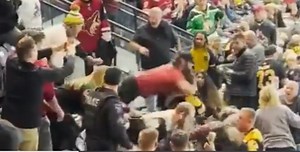 Hockey Fan Arrested After Biting Off Person's Finger During Crowd Fight