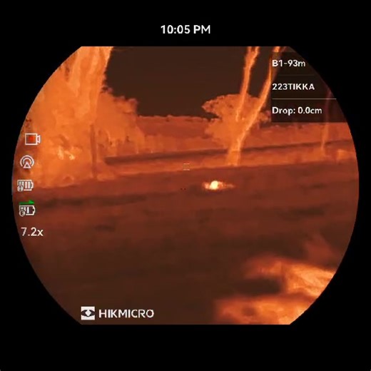 Another one brought into range with the Swamphen Chick call. downunderpredatorcalls.com Made by hunters, for hunters. | Down Under Predator Calls