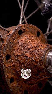 Rust-proof spray | Pompano_fishing