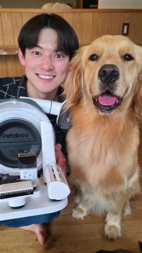手軽にお家で犬のトリミング・グルーミング