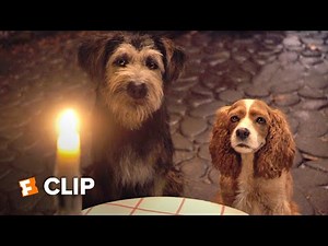 Lady and the Tramp Movie Clip - Tony's Special (2019) | Fandango Family
