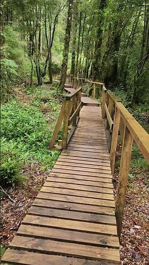 🌿 El sendero más mágico de Chile 🇨🇱✨