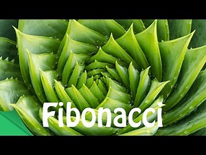 Mind Luster - Learn How to Pronounce Fibonacci