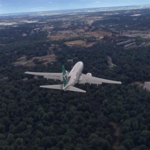 Most satisfying flight simulator view ever 🏙️ #aviation #flightsimulator