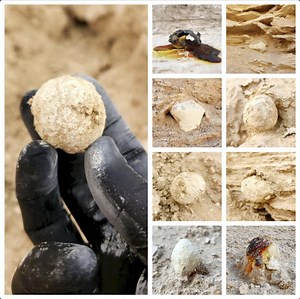 Authentic Brimstone Sulfur Ball • Chunk • Biblical Sodom & Gomorrah • Dead Sea • Israel • Holy Land • to Choose From - Etsy