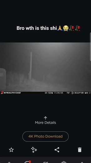 is this a ufo or a radioactive deer😭😭🥀🥀🥀 #goviral