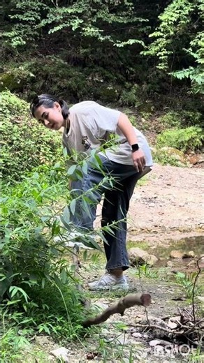 How to Start a Fire in the Forest 🔥| Cooking Food in the Wild🥩