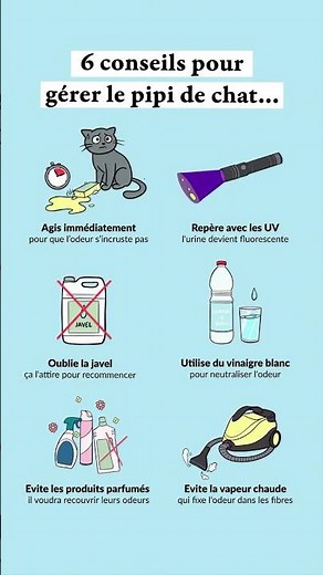 T'as d'autres astuces si ton chat fait pipi hors de sa litière ? 😽🧼🧹
