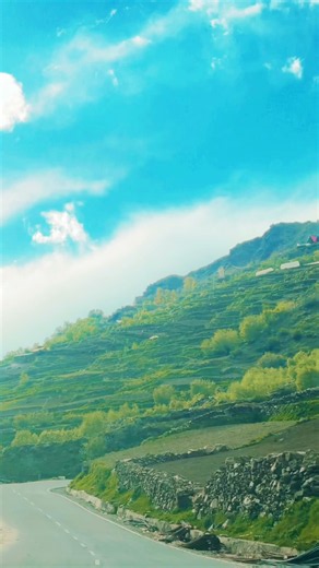 #trip #trip