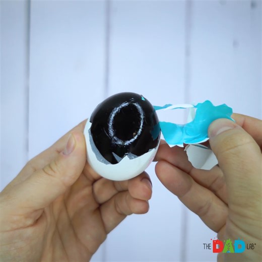 Eggs science = endless fun for curious kids! 🧪🥚 Explore more in FunLab App https://dadlab.me/erfb | TheDadLab