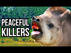3 Peaceful Animals That Have Become Killers