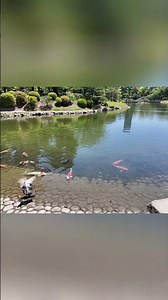 Japans Schönste Gärten: Entspanne Dich Jetzt! #shorts