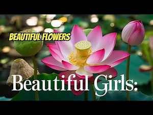 STUNNING 4K VIDEO OF NATURE'S MOST BEAUTIFUL FLOWERS