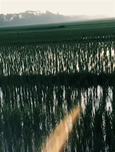 Zaky Ramdan on Reels