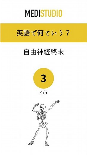 医療英語クイズ #102 人体各器官の名称(皮膚編)｜体の部位の名称をどこまで英語で言える？ #看護師 #医療英語 #learnenglish